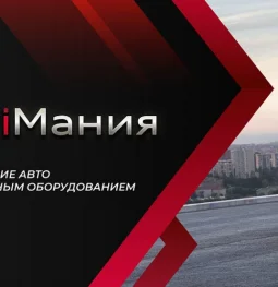 компания аудимания  на проекте moeizmailovo.ru