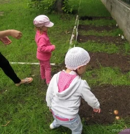 частный детский сад set international school  на проекте moeizmailovo.ru