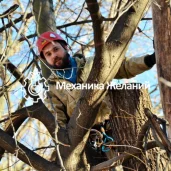 компания механика желаний изображение 6 на проекте moeizmailovo.ru