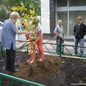 управа района измайлово г. москвы изображение 3 на проекте moeizmailovo.ru