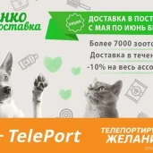 автоматизированный пункт выдачи teleport изображение 1 на проекте moeizmailovo.ru
