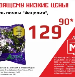 гипермаркет низких цен маяк изображение 4 на проекте moeizmailovo.ru