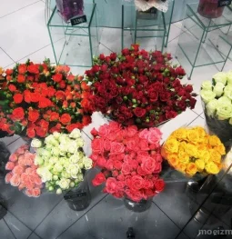 служба доставки цветов megaflowers  на проекте moeizmailovo.ru