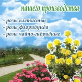 садовый центр измайловское производственное управление изображение 1 на проекте moeizmailovo.ru
