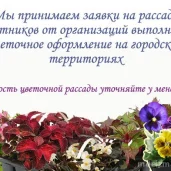 садовый центр измайловское производственное управление изображение 2 на проекте moeizmailovo.ru