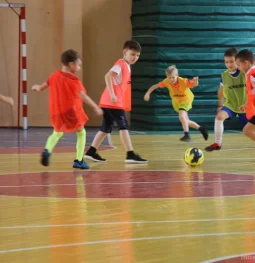 футбольная школа герта изображение 2 на проекте moeizmailovo.ru