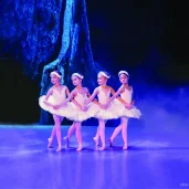 мастерская балета егора симачева на сиреневом бульваре изображение 1 на проекте moeizmailovo.ru