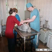 первомайский ветеринарный центр, ао изображение 3 на проекте moeizmailovo.ru