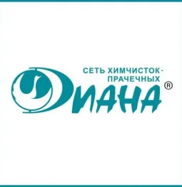 химчистка диана в измайлово  на проекте moeizmailovo.ru