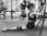 спортивный клуб художественной гимнастики алые паруса изображение 2 на проекте moeizmailovo.ru