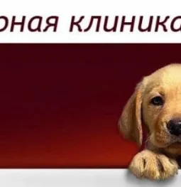 ветеринарная клиника ветхаус изображение 2 на проекте moeizmailovo.ru