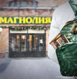 удобный магазин магнолия на 13-й парковой улице изображение 2 на проекте moeizmailovo.ru